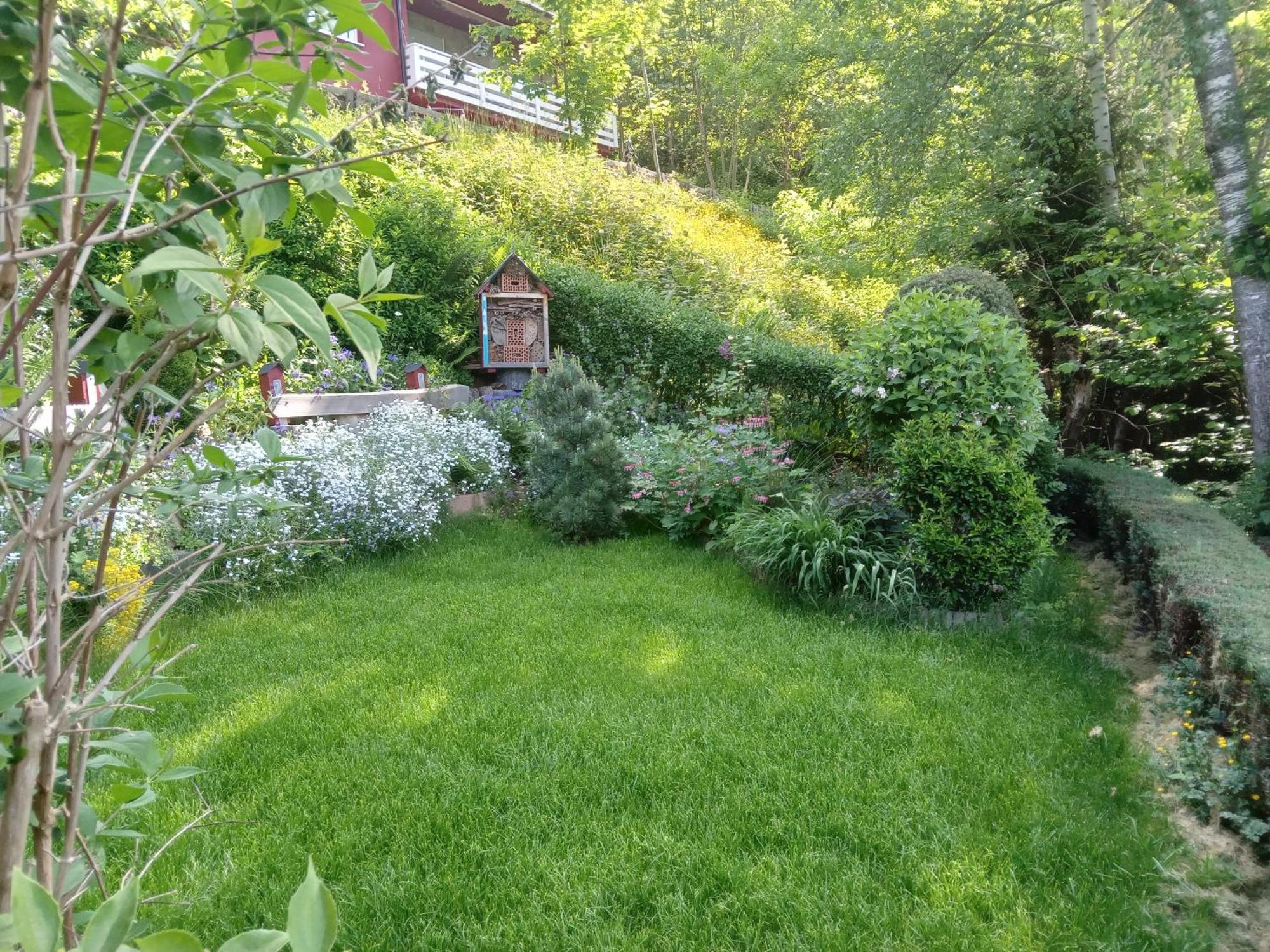 Haus Wiesental Kleines Wiesental Eksteriør billede
