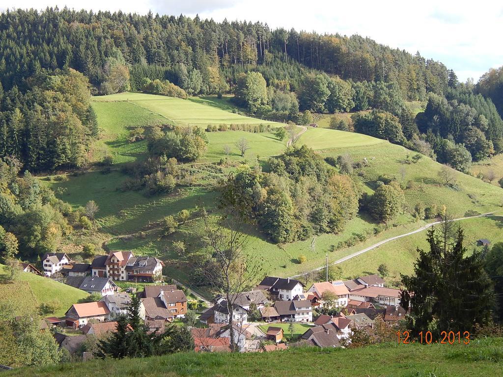 Haus Wiesental Kleines Wiesental Eksteriør billede