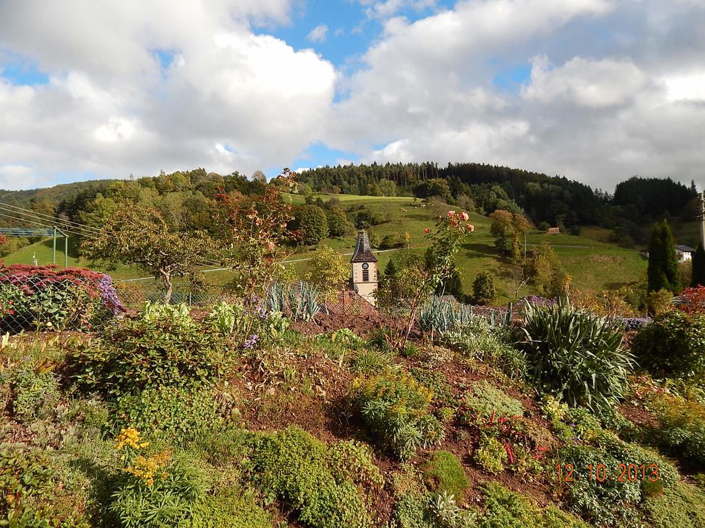 Haus Wiesental Kleines Wiesental Eksteriør billede