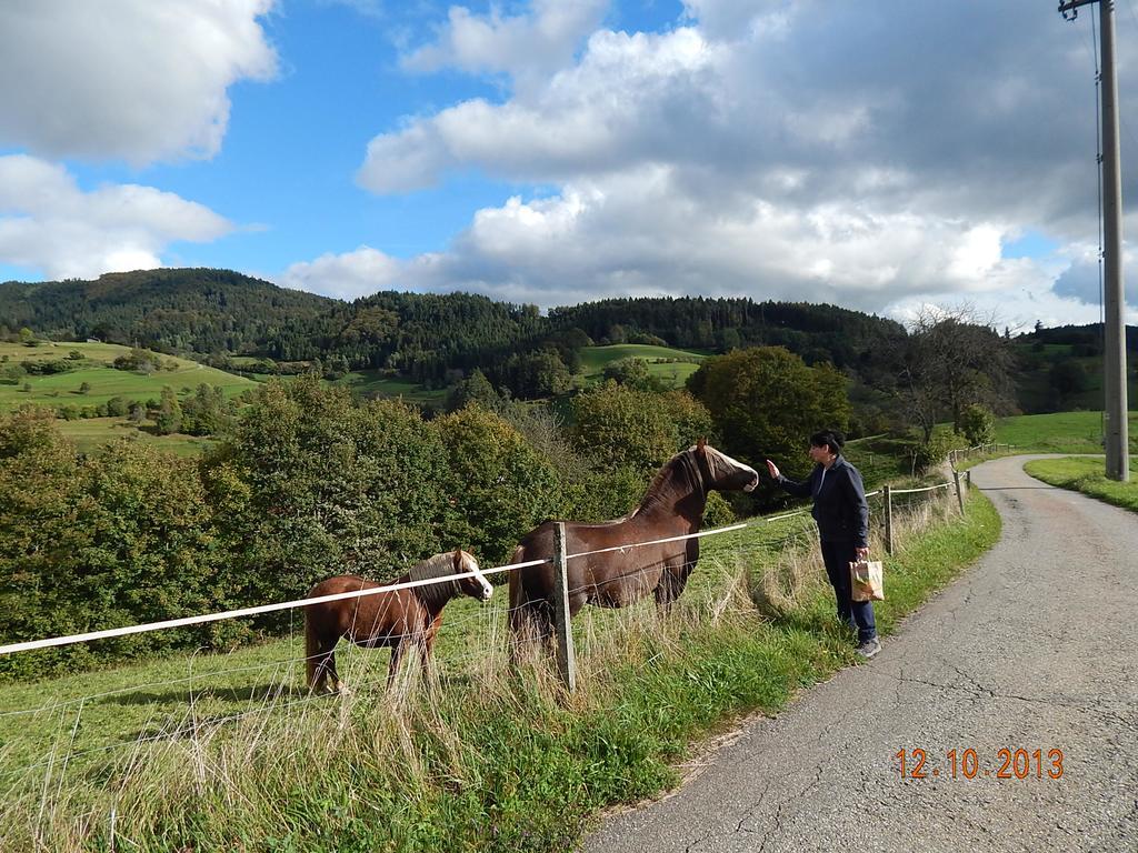 Haus Wiesental Kleines Wiesental Eksteriør billede