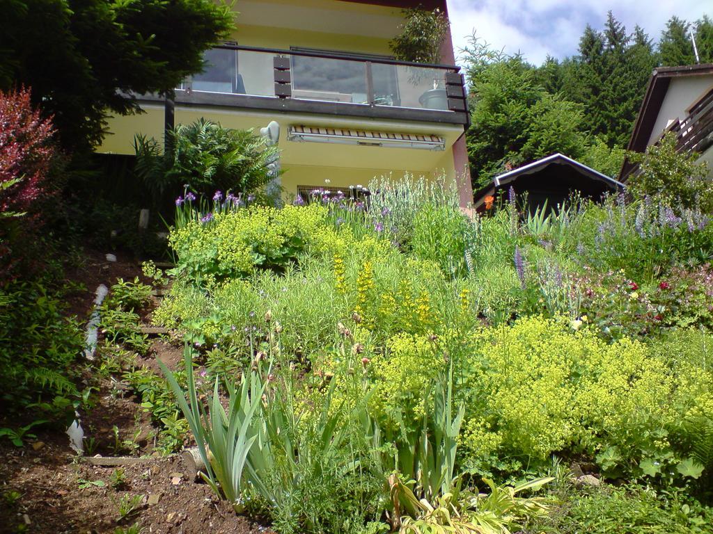 Haus Wiesental Kleines Wiesental Eksteriør billede