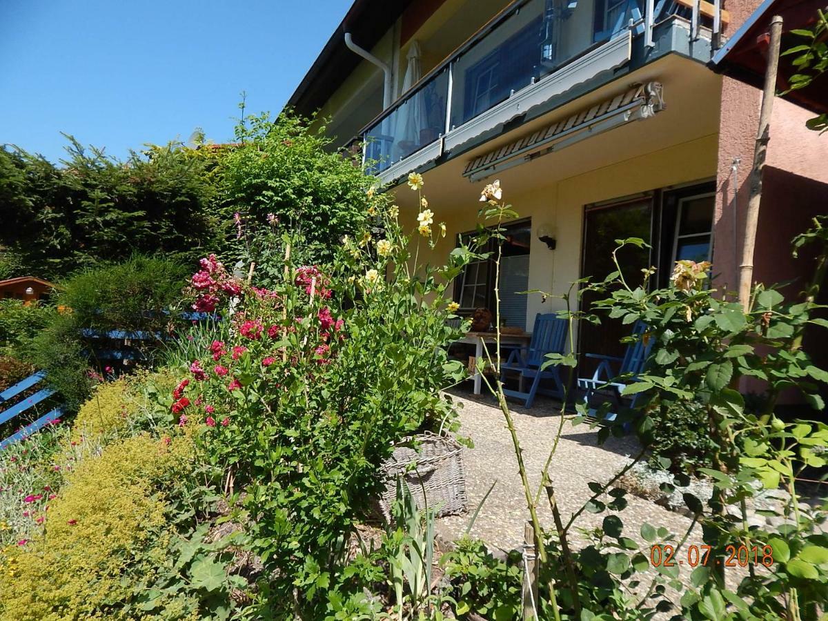Haus Wiesental Kleines Wiesental Eksteriør billede