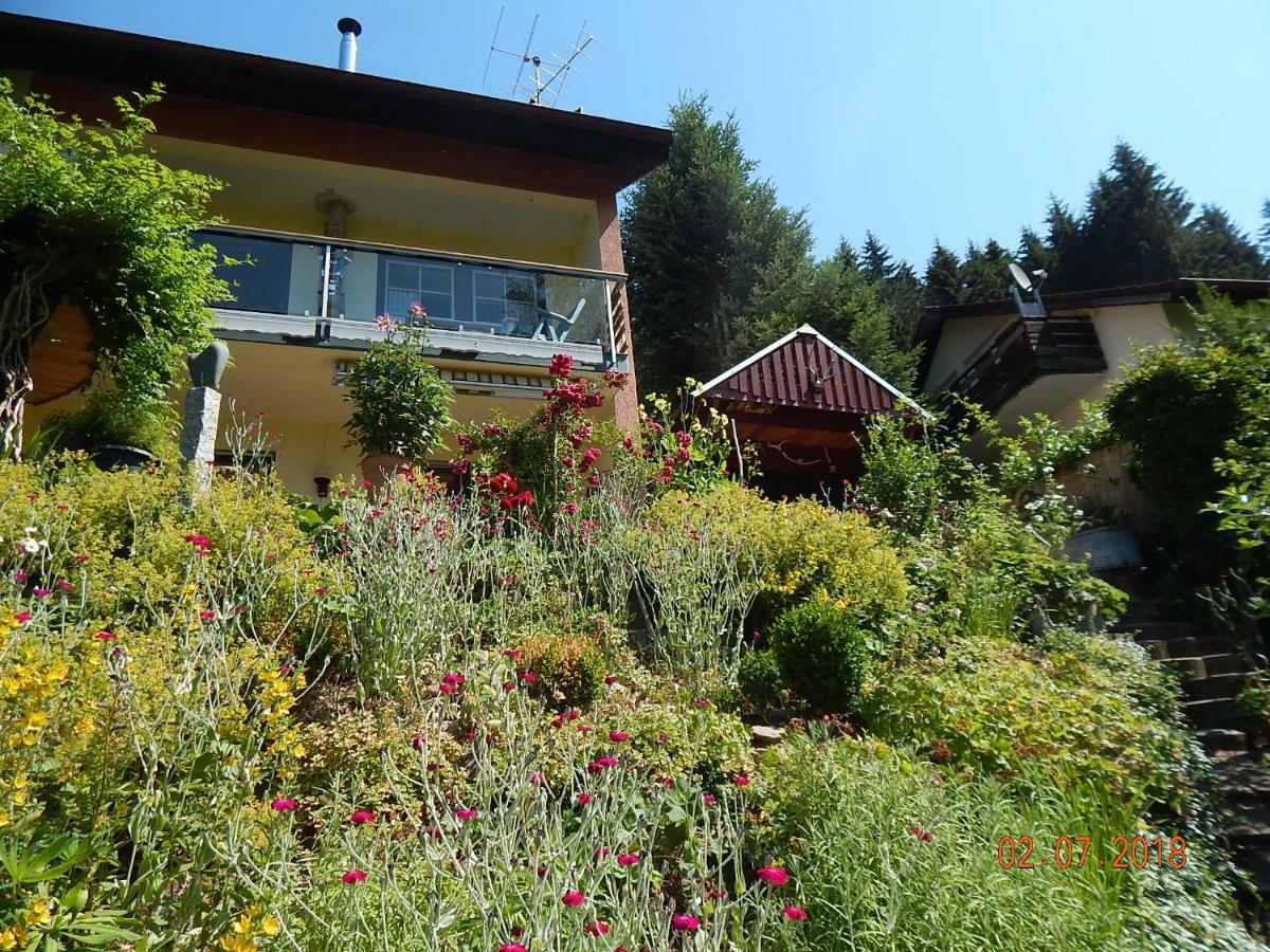 Haus Wiesental Kleines Wiesental Eksteriør billede