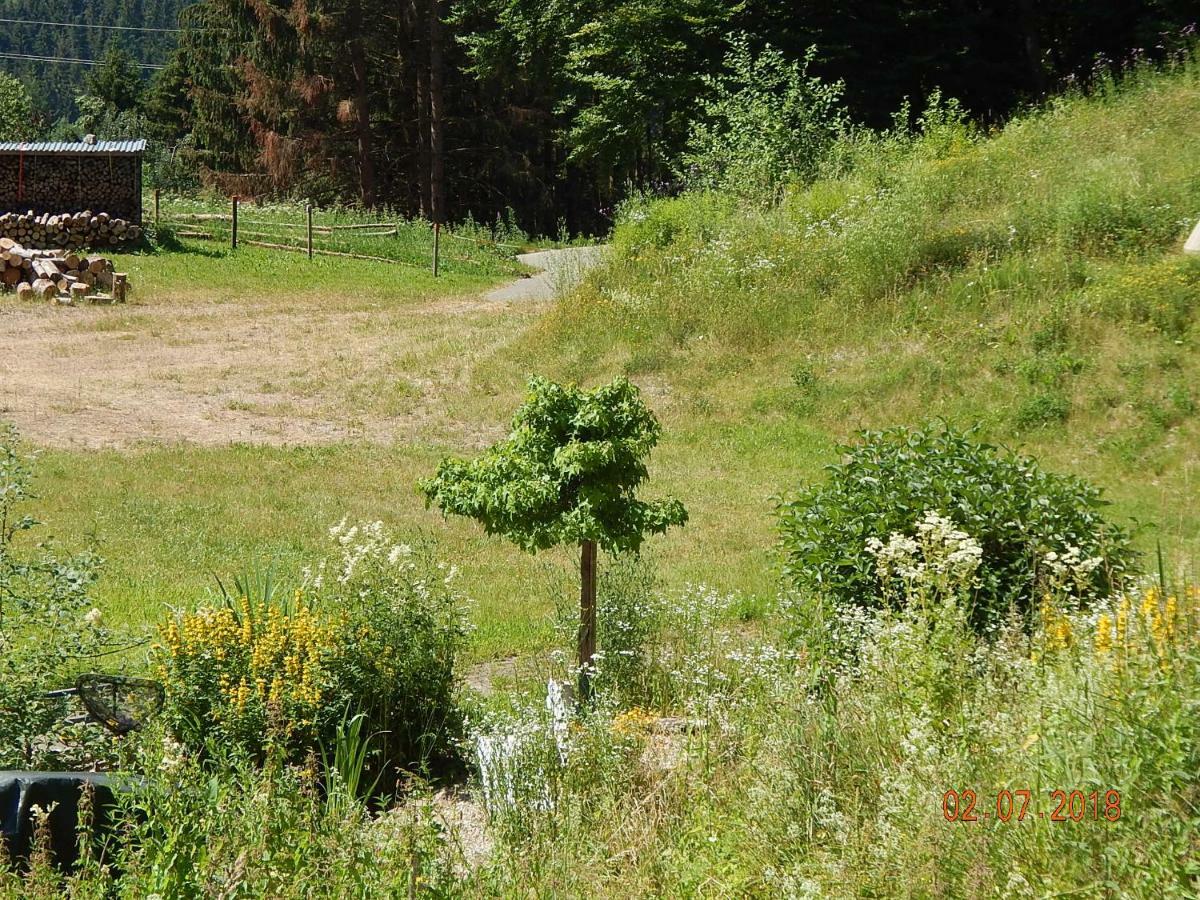 Haus Wiesental Kleines Wiesental Eksteriør billede